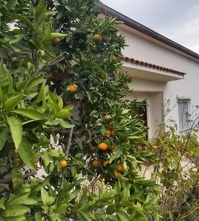 Vecchia Oliva,kuljica Holiday home