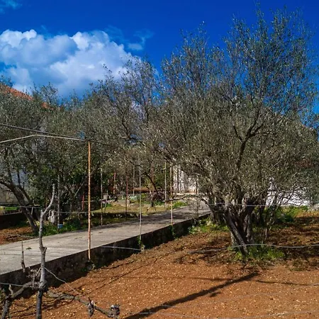 Vecchia Oliva,kuljica Hotell