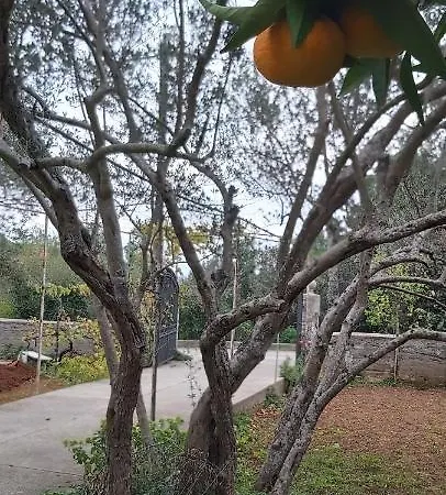 Vecchia Oliva,kuljica Hotell